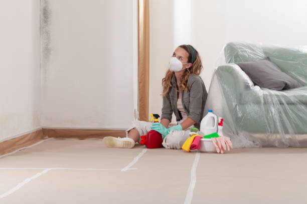 Reliable Commercial Mold Remediation contractor in Winfield, IL by WQB Mold Removal